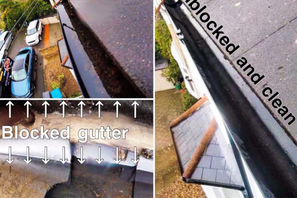 gutter cleaning 6